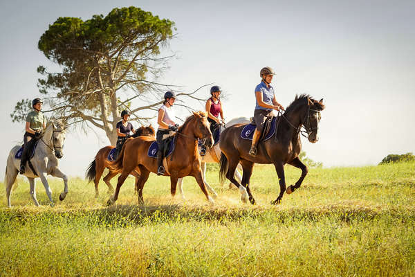 Trail riding in Andalusia, Spain