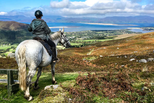 Trail riding in Ireland on Irish horses