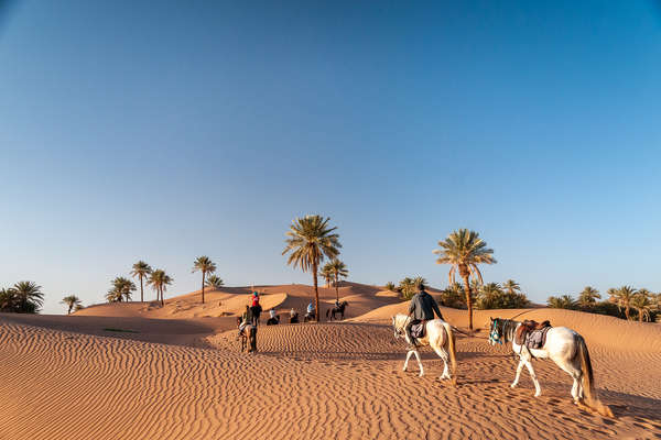 Trail riding in the sadn dunes of the Sahara on horseback