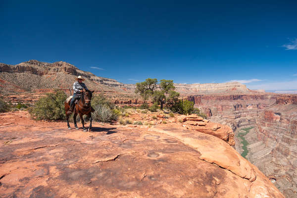 Trail riding in the United States on horseback