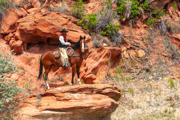 Trail riding in the Wild West of America