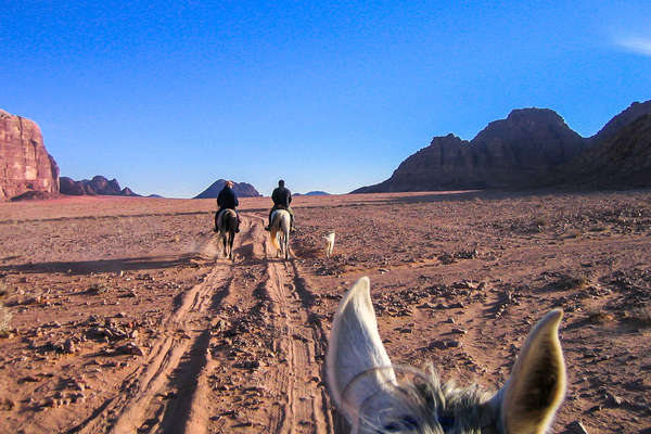Trail riding on horseback in Jordan, Wadi Rum
