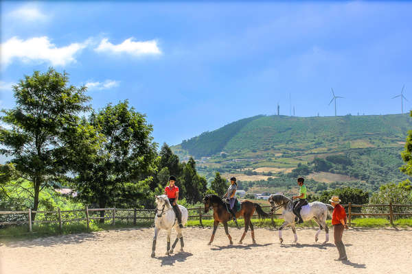 Training under Georges Malleroni at Alcainça school of dressage, Portugal