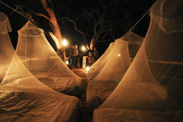 Tree house accommodation on a horseback safari