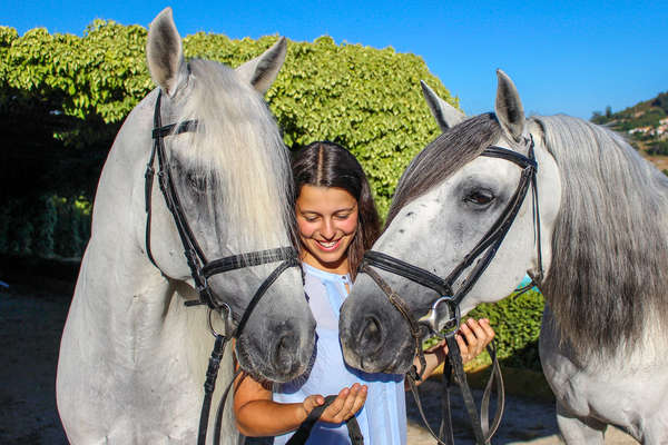 Two Lusitano horses and a rider on a dressage holiday at Alcainça, Portugal