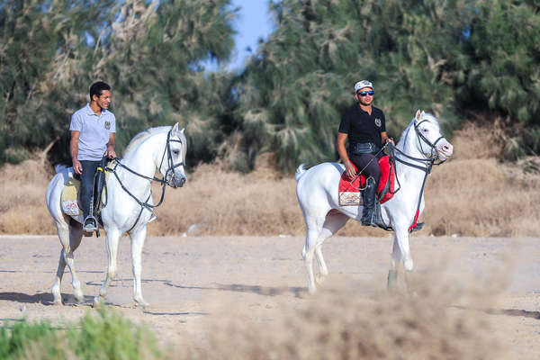 Two riders on horseback near Luxor, Egypt