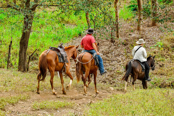 Two riders walki