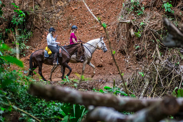 Two riders walking in a forest in Costa Rica