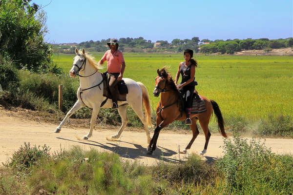 Two smiling horseback riders cantering on an open track