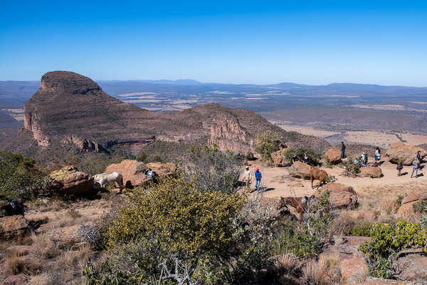 Upper escarpment views, South Africa, Entabeni conservancy