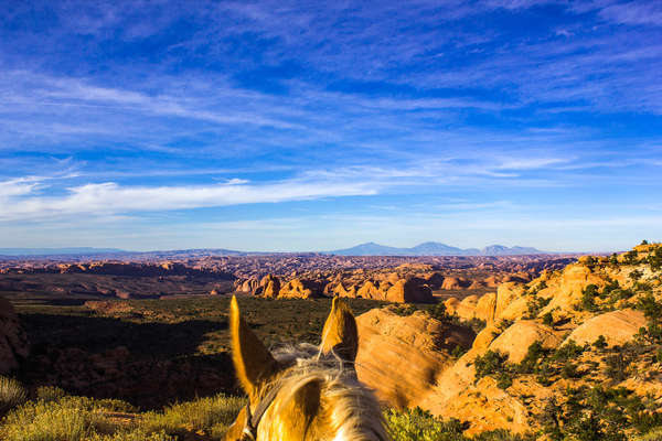 Views on the Navajo trail riding holiday in the USA