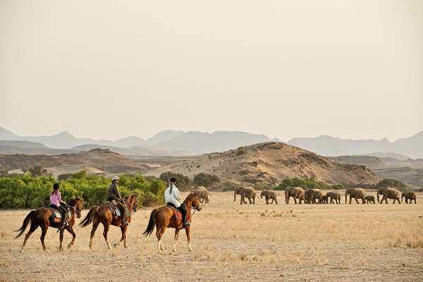 Watching elephants in the saddle in Namibia
