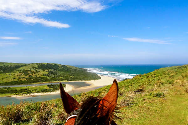 Watching the sea from your saddle