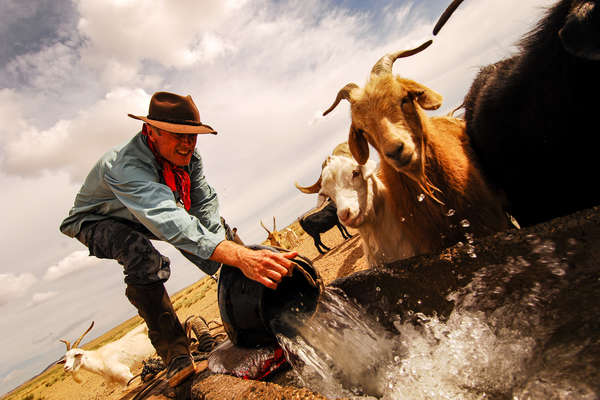 Watering goats in Mongolia