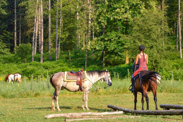 Western rider and horses in Tuscany