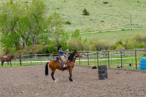 Western riding games on a ranch holiday