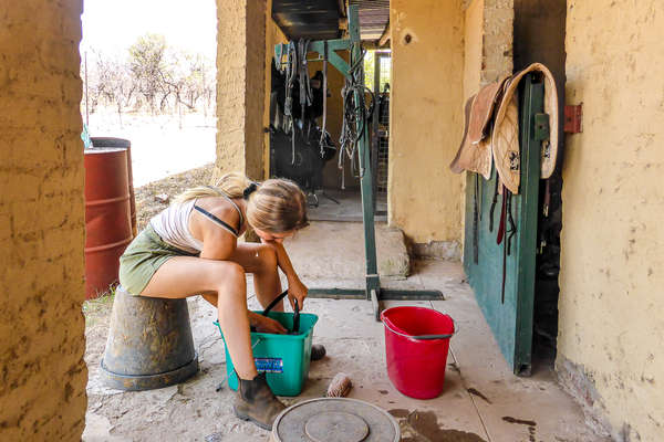 Woman cleaning up horse tack in South Africa