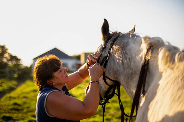 Woman taking a horse in South Africa