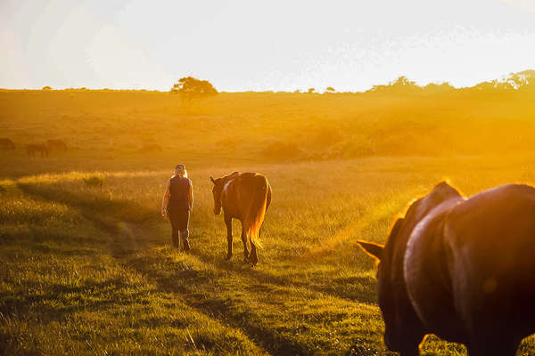 Woman walking along with a horse in South Africa