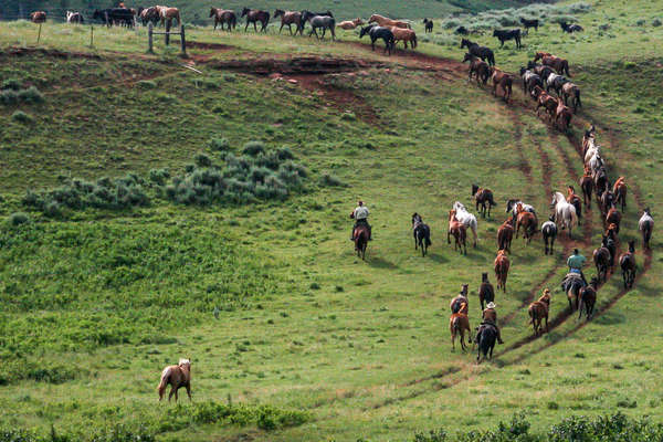Wyoming and Montana authentic ranch holiday
