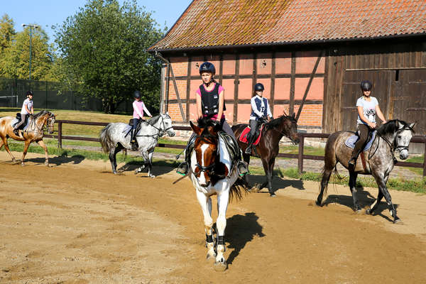 Young riders enjoying a lesson in Poland