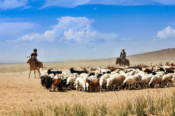 Young riders learning from Mongolian shepherds