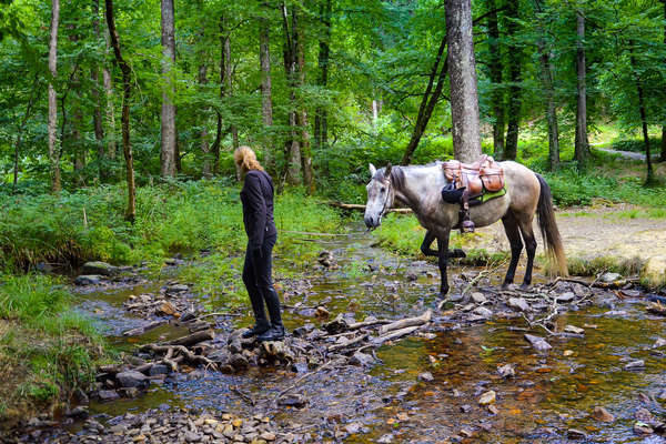 Young woman leading her horse through a small stream