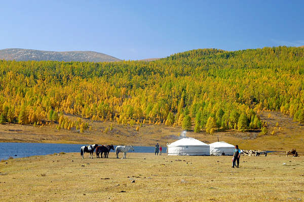 Yurt camp and horseback trail in Mongolia