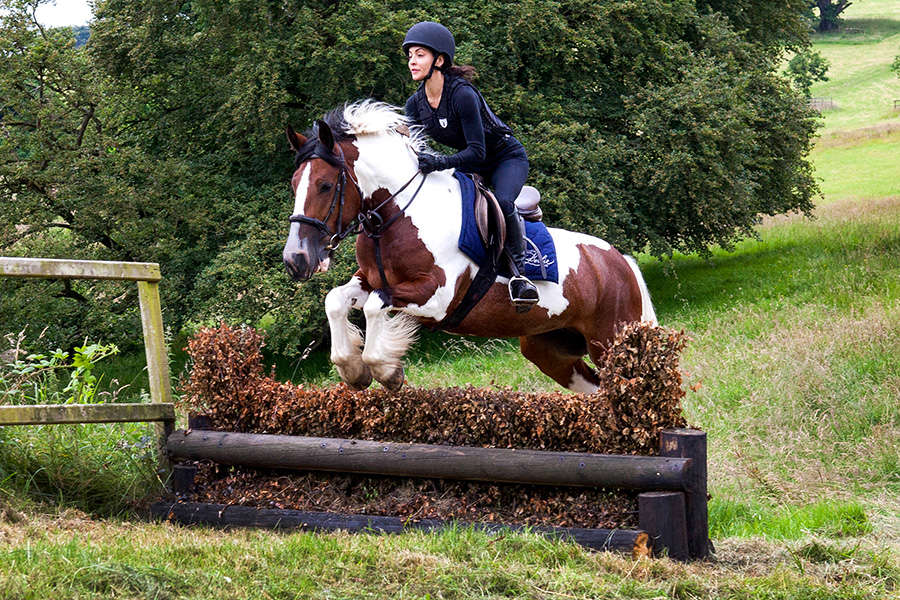 Cross Country Riding Course Cross-country training at Castle Leslie, Ireland