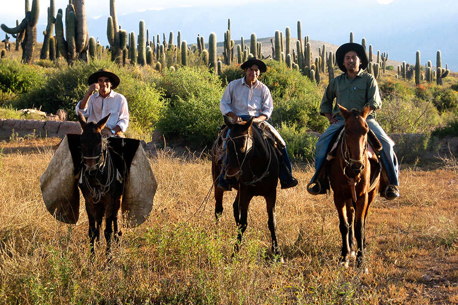 Riding holidays and trail riding in Argentina