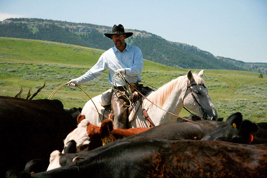 Trail rides, ranches and cattle drives in North America